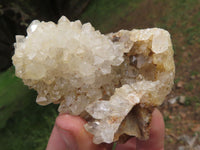 Natural Golden Healer Limonite "Honeycomb" Quartz Specimens  x 12 From Solwezi, Zambia - TopRock