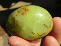 Polished Green Opal Galet / Palm Stones x 12 From Antsirabe, Madagascar