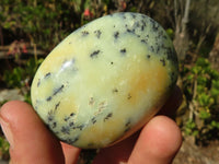 Polished Dendritic Opal Galet / Palm Stone x 12 from Madagascar