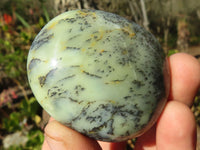 Polished Dendritic Opal Galet / Palm Stone x 12 from Madagascar