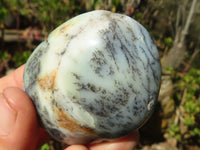 Polished Dendritic Opal Galet / Palm Stone x 12 from Madagascar