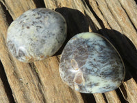 Polished Dendritic Opal Galet / Palm Stone x 12 from Madagascar