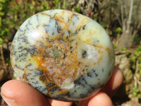 Polished Dendritic Opal Galet / Palm Stone x 12 from Madagascar