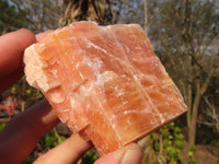 Natural New Sunset Orange Calcite Specimens  x 12 From Spitzkop, Namibia