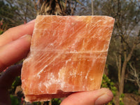 Natural New Sunset Orange Calcite Specimens  x 12 From Spitzkop, Namibia