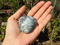 Polished Dendritic Opal Galet / Palm Stone x 12 from Madagascar