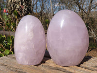 Polished Blue Rose Quartz Standing Free Forms x 2 From Madagascar