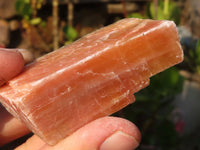 Natural New Sunset Orange Calcite Specimens  x 12 From Spitzkop, Namibia