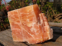 Natural New Sunset Orange Calcite Specimens  x 12 From Spitzkop, Namibia