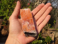 Natural New Sunset Orange Calcite Specimens  x 12 From Spitzkop, Namibia