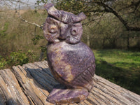 Polished Hand Carved Leopard Stone & Lepidolite Owls  x 2 From Zimbabwe - TopRock