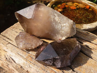 Natural Single Smokey Quartz Crystals  x 3 From Mulanje, Malawi - TopRock