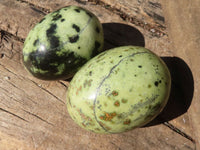 Polished Spotted Leopard Stone Eggs  x 6 From Zimbabwe - Toprock Gemstones and Minerals 