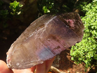 Natural Single Smokey Quartz Crystals  x 3 From Mulanje, Malawi - TopRock