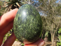 Polished Spotted Leopard Stone Eggs  x 6 From Zimbabwe - Toprock Gemstones and Minerals 