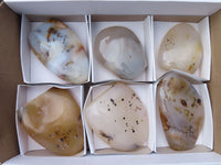 Polished Dendritic Agate Standing Free Forms  x 6 From Madagascar