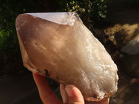 Natural Single Smokey Quartz Crystals  x 3 From Mulanje, Malawi - TopRock