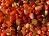 Polished Mini Craft Carnelian Tumble Stones - Sold per 500 g - From Botswana