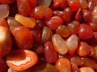 Polished Mini Craft Carnelian Tumble Stones - Sold per 500 g - From Botswana