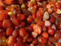 Polished Mini Craft Carnelian Tumble Stones - Sold per 500 g - From Botswana