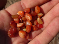 Polished Mini Craft Carnelian Tumble Stones - Sold per 500 g - From Botswana