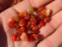 Polished Mini Craft Carnelian Tumble Stones - Sold per 500 g - From Botswana