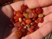 Polished Mini Craft Carnelian Tumble Stones - Sold per 500 g - From Botswana