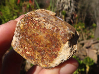 Natural Limonite Iron Pseudomorph Cubic Crystals  x 20 From Lydenburg, South Africa