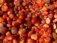 Polished Mini Craft Carnelian Tumble Stones - Sold per 500 g - From Botswana