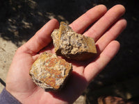 Natural Limonite Iron Pseudomorph Cubic Crystals  x 20 From Lydenburg, South Africa