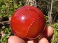 Polished Carnelian Agate Spheres  x 6 From Madagascar - Toprock Gemstones and Minerals 