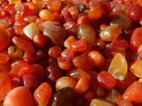 Polished Mini Craft Carnelian Tumble Stones - Sold per 500 g - From Botswana