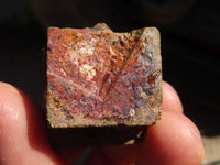 Natural Limonite Iron Pseudomorph Cubic Crystals  x 20 From Lydenburg, South Africa