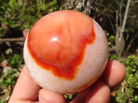 Polished Carnelian Agate Spheres  x 6 From Madagascar - Toprock Gemstones and Minerals 