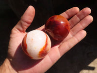 Polished Carnelian Agate Spheres  x 6 From Madagascar - Toprock Gemstones and Minerals 