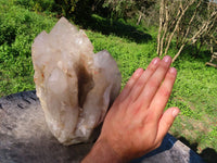 Natural Extra Large Arcadian Angolan Half Natural & Half Polished Crystal Multi Terminated Cluster x 1 From Angola - TopRock