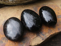 Polished Schorl Black Tourmaline Palm Stones  x 20 From Madagascar - Toprock Gemstones and Minerals 