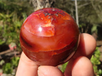 Polished Carnelian Agate Spheres  x 6 From Madagascar - Toprock Gemstones and Minerals 