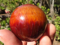 Polished Carnelian Agate Spheres  x 6 From Madagascar - Toprock Gemstones and Minerals 