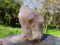 Natural Extra Large Arcadian Angolan Half Natural & Half Polished Crystal Multi Terminated Cluster x 1 From Angola - TopRock