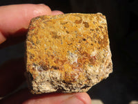 Natural Limonite Iron Pseudomorph Cubic Crystals  x 20 From Lydenburg, South Africa