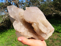 Natural Extra Large Arcadian Angolan Half Natural & Half Polished Crystal Multi Terminated Cluster x 1 From Angola - TopRock