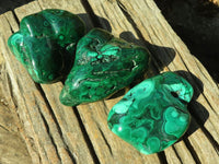 Polished Malachite Free Forms x 3 From Kolwezi, Congo