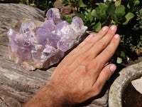 Natural Amethyst Cluster With Calcite Crystals  x 1 From Mumbwa, Zambia - TopRock