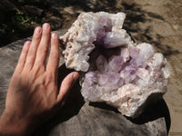 Natural Large Amethyst Crystal Vug Specimen  x 1 From Zambia - TopRock