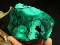 Polished Malachite Free Forms x 3 From Kolwezi, Congo