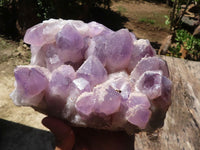 Natural Amethyst Cluster With Calcite Crystals  x 1 From Mumbwa, Zambia - TopRock