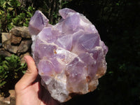 Natural Amethyst Cluster With Calcite Crystals  x 1 From Mumbwa, Zambia - TopRock