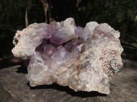 Natural Large Amethyst Crystal Vug Specimen  x 1 From Zambia - TopRock