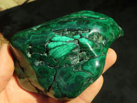 Polished Malachite Free Forms x 3 From Kolwezi, Congo